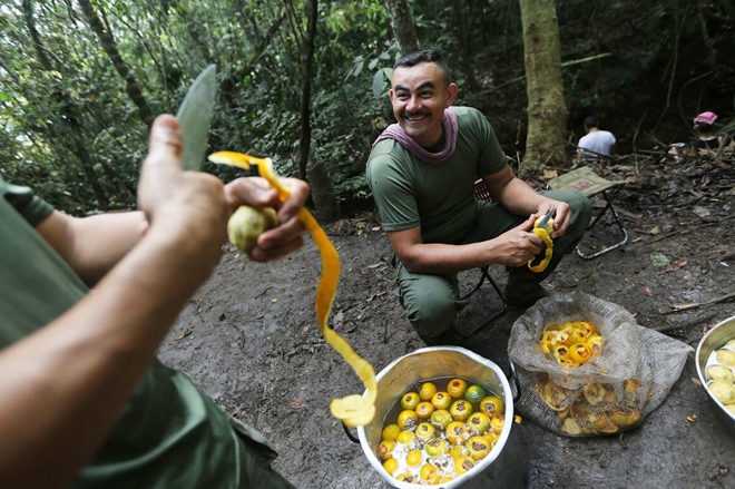 Tiết lộ về những kỹ năng sinh tồn của du kích FARC - Ảnh 2.