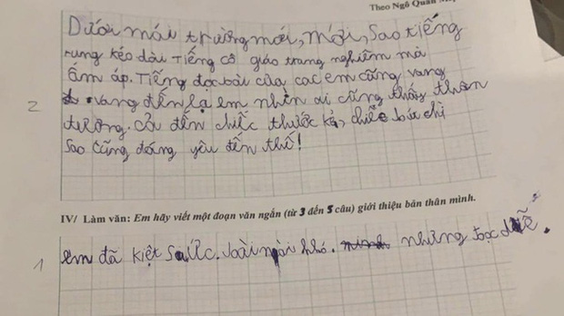 Cô giáo ra đề bài tự giới thiệu bản thân, cậu bé lớp 1 viết 3 dòng ngắn ngủi khiến giáo viên vừa cười vừa tức anh ách - Ảnh 1.