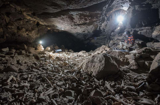 Phát hiện hang động chứa đầy xương được linh cẩu cất giấu trong hàng nghìn năm qua, có cả xương người tiền sử - Ảnh 1.
