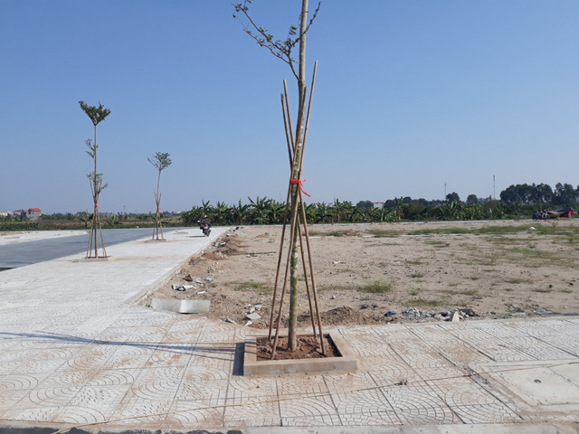  “Ngon ăn” như đất đấu giá: Vừa đấu giá thành công đã rao bán lời hàng trăm triệu mỗi lô  - Ảnh 2.