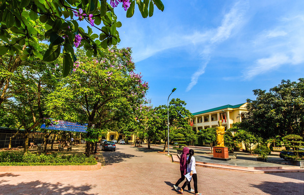 Nữ sinh thi 1 mình 1 phòng đỗ vào trường chuyên nổi tiếng, có cái tên vận vào người - Ảnh 3.