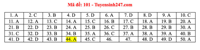 Đáp án các mã đề môn Toán thi tốt nghiệp THPT; TP.HCM có 3 điểm thi ghi nhận thí sinh dương tính COVID-19 - Ảnh 1.