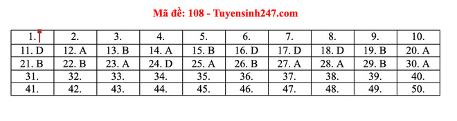 Đáp án các mã đề môn Toán thi tốt nghiệp THPT; TP.HCM có 3 điểm thi ghi nhận thí sinh dương tính COVID-19 - Ảnh 3. Đáp án các mã đề môn Toán thi tốt nghiệp THPT; TP.HCM có 3 điểm thi ghi nhận thí sinh dương tính COVID-19 - Ảnh 3.