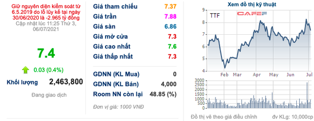 Gỗ Trường Thành (TTF): Biến động nhân sự cấp cao giữa bối cảnh tái cấu trúc nợ quyết liệt - Ảnh 1.