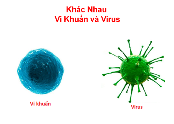 Vi khuẩn và virus loại nào nguy hiểm hơn? - Ảnh 1.