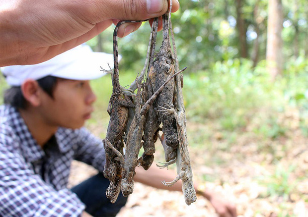 Miền Tây có những món ăn nghe tên đã khóc thét nhưng lại là đặc sản không phải ai cũng từng được ăn - Ảnh 2.