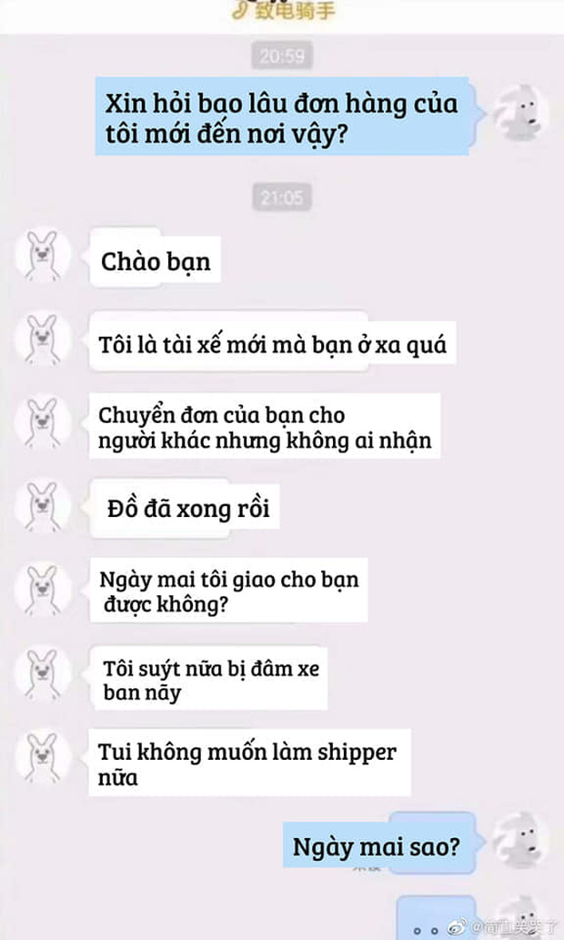 7749 cuộc hội thoại chân thật cười ra nước mắt thời gặp shipper nhiều hơn cả người yêu - Ảnh 8.