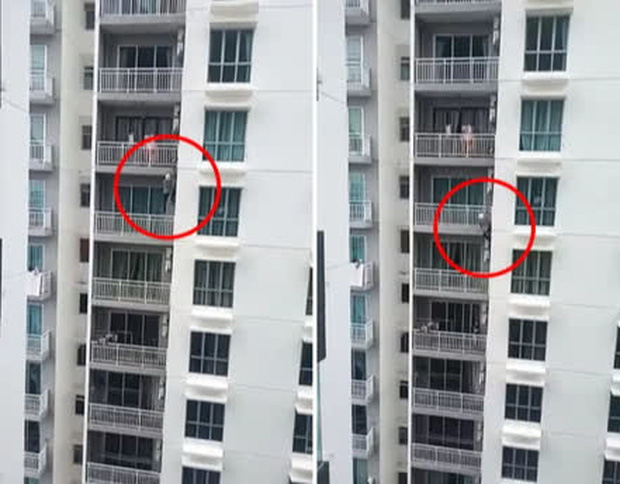 Người nhện tay cầm súng leo từ tầng 14 đến tầng 18 rồi lại ngược trở xuống, toàn bộ sự việc khiến ai nấy đều phải nín thở vì sợ hãi - Ảnh 1.