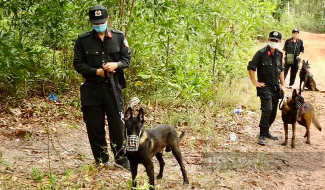 Công an Quảng Bình sử dụng chó nghiệp vụ và flycam để tìm kiếm Lê Văn Triễn - nghi phạm giết mẹ vợ - Ảnh 6.