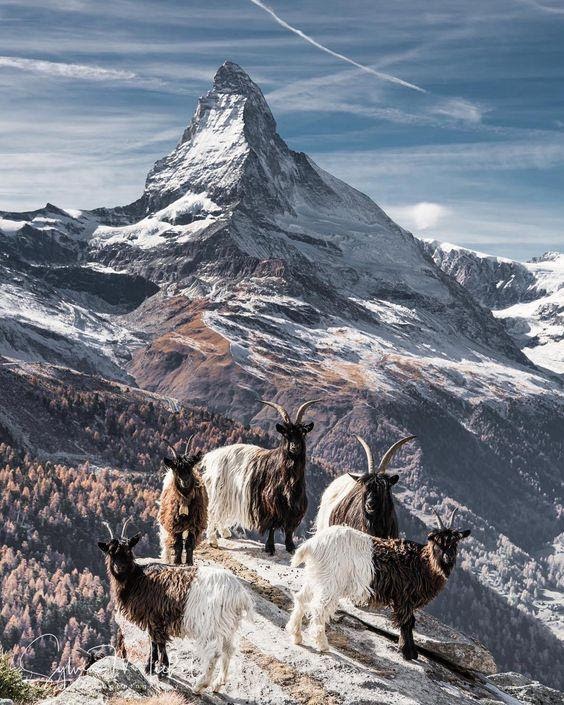 Đất nước Thụy Sĩ đẹp mê hồn với những khung hình nên thơ như cổ tích: Giấc mơ của biết bao tín đồ du lịch, một lần đặt chân đến cũng thỏa lòng - Ảnh 2.