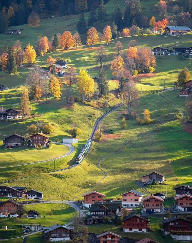 Kinh nghiệm du lịch Grindelwald Thụy Sĩ