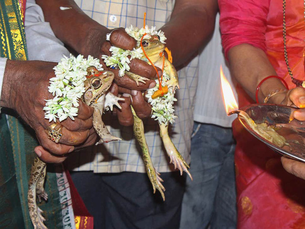Cả làng góp tiền tổ chức đám cưới cho cặp đôi ếch để cầu mưa, hai tháng sau phải ly dị gấp vì lũ cuốn trôi 9.000 ngôi nhà - Ảnh 2.