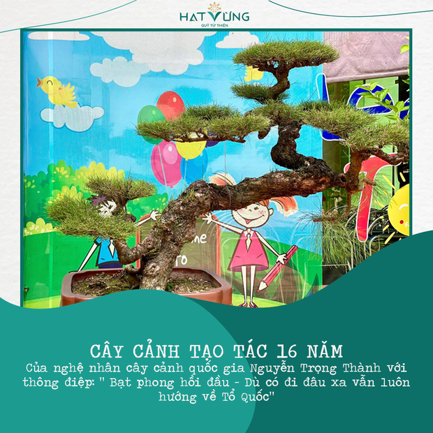 BTV Ngọc Trinh góp đồng hồ, 1 Hoa hậu cùng dàn sao khủng livestream đấu giá mua máy thở tặng bệnh viện - Ảnh 18.