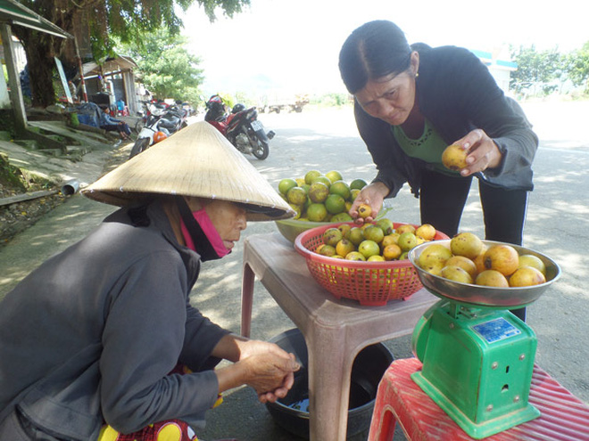 Loại quả dại trước đây chỉ có trẻ em miền quê hái ăn chơi, giờ người thành phố muốn mua cũng khó - Ảnh 5.