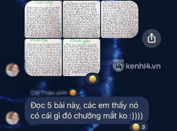 Cô giáo Văn chính thức lên tiếng sau lùm xùm dùng từ ngữ tục tĩu, show ảnh bộ phận nhạy cảm: Lời xin lỗi vẫn gây phẫn nộ! - Ảnh 4.