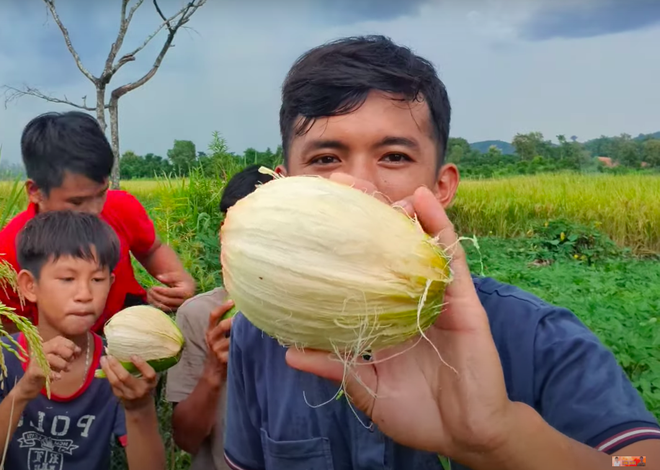 Vlogger đồng quê Việt Nam giới thiệu loại dừa ăn được cả vỏ khiến người xem trố mắt: Giòn như ổi, vị chát như chuối xanh? - Ảnh 5.