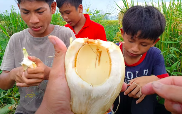 Vlogger đồng quê Việt Nam giới thiệu loại dừa ăn được cả vỏ khiến người xem trố mắt: Giòn như ổi, vị chát như chuối xanh? - Ảnh 8.