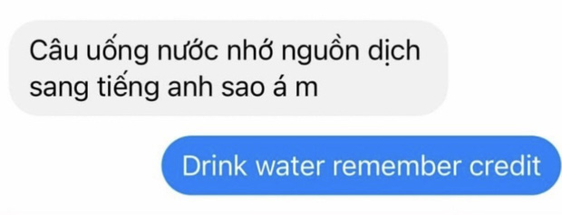 Bạn bè nhờ dịch hộ tục ngữ sang tiếng Anh, nữ sinh viết lại 1 câu tức anh ách, dân 9.0 IELTS cũng phải bó tay - Ảnh 1.