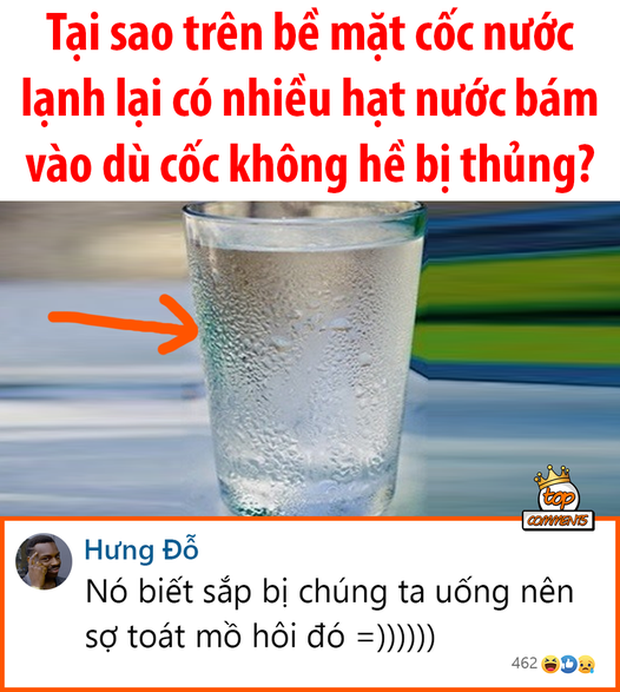 Hỏi: Tại sao cốc nước lạnh có nhiều hạt nước?, netizen giải thích 1 câu cười xỉu, tưởng dễ mà không phải ai cũng biết - Ảnh 1.