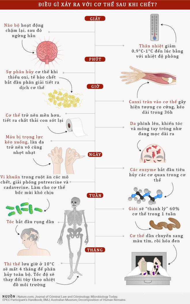 Điều gì sẽ xảy ra với một xác chết ngoài không gian? - Ảnh 4.