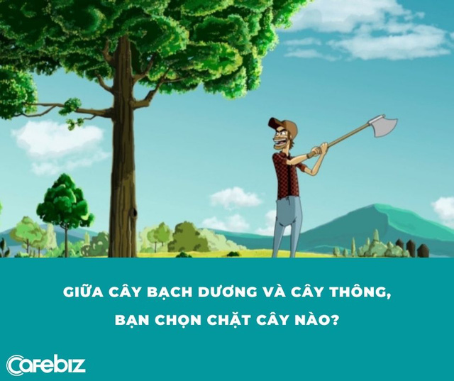 Từ câu chuyện nên chặt bạch dương hay cây thông, BIẾT NGAY lí do thất bại của nhiều người - Ảnh 3.