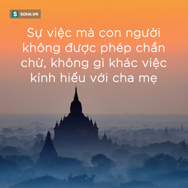 Gọi cho 6 người con nhưng chỉ cậu út đến đón, người cha trước khi chết đã làm 1 việc khiến 5 người con còn lại phải xấu hổ - Ảnh 6.