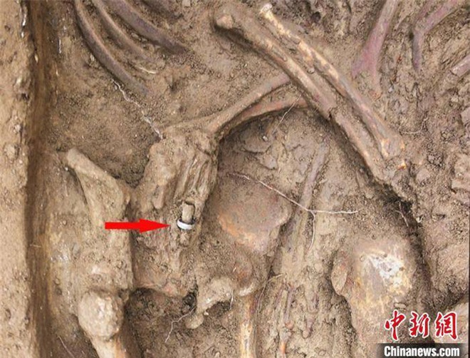 Khai quật mộ 1.600 tuổi, tìm thấy 2 bộ hài cốt trong tư thế lãng mạn - Ảnh 3.