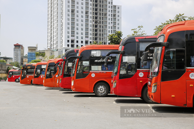  Báo động nhiều doanh nghiệp vận tải không thể trả nợ trước hạn  - Ảnh 1.