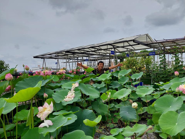  Trào lưu second-home trên nóc sân thượng vạn người mê thời hạn chế đi chợ  - Ảnh 2.