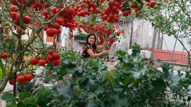  Trào lưu second-home trên nóc sân thượng vạn người mê thời hạn chế đi chợ  - Ảnh 9.