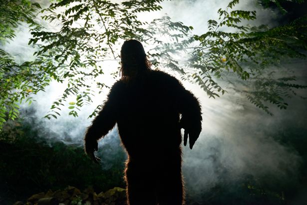Người đàn ông hãi hùng nhớ lại cuộc săn đuổi với quái vật Bigfoot cao gần 2m5 - Ảnh 2.