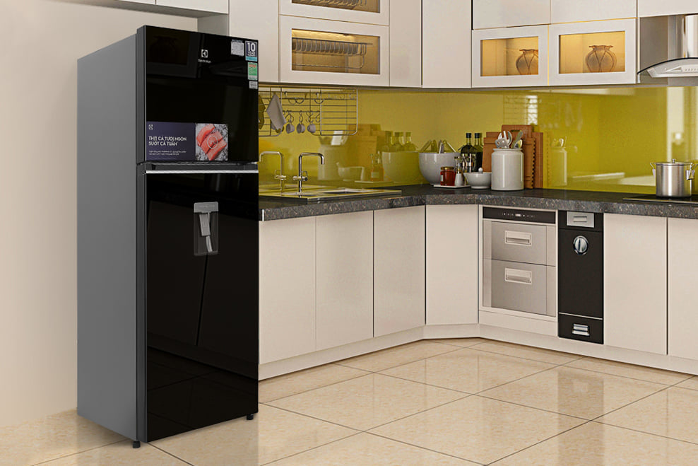 10 mẫu tủ lạnh đáng mua giảm giá sập sàn, nhiều mẫu mới 2021 rẻ khó tin - Ảnh 3.