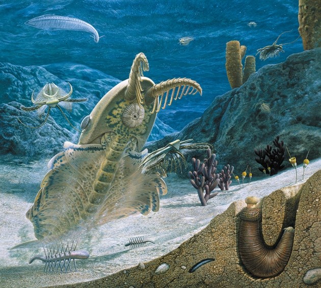 Phát hiện xương bọt biển 890 triệu năm tuổi, già nua hơn bất kể hóa thạch động vật nào từng được tìm thấy trước đây - Ảnh 5.