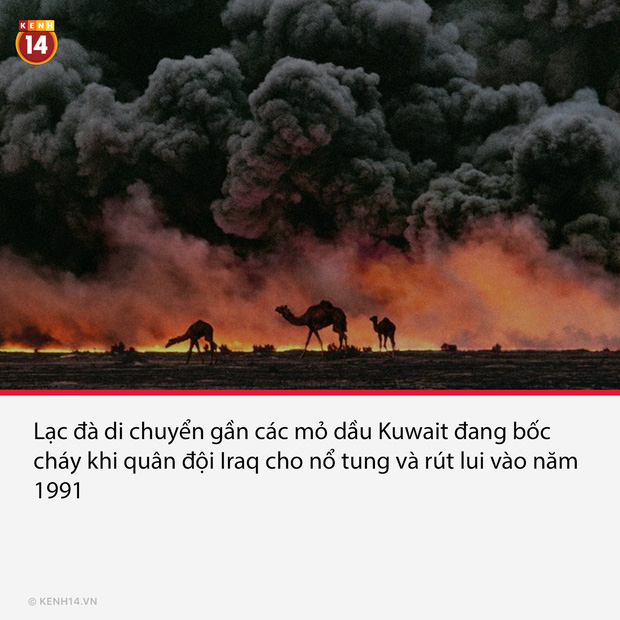 16 hình ảnh hiếm có trải dài suốt 2 thế kỷ, tuy đã cũ nhưng độ chất thì vẫn còn vẹn nguyên - Ảnh 1.