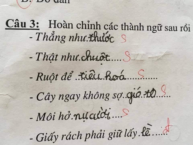 Học trò lớp 1 điền thành ngữ siêu lầy, giáo viên đọc xong muốn trầm cảm, nhưng dân mạng lại thi nhau chấm 10 điểm! - Ảnh 1.