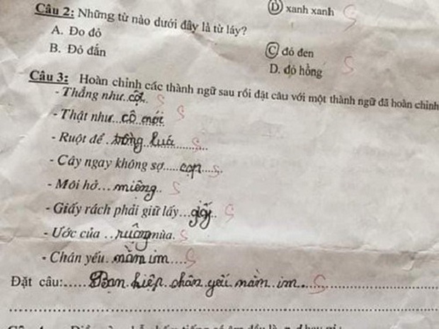 Học trò lớp 1 điền thành ngữ siêu lầy, giáo viên đọc xong muốn trầm cảm, nhưng dân mạng lại thi nhau chấm 10 điểm! - Ảnh 2.