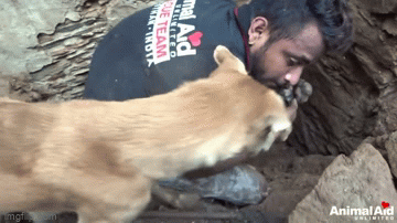 Thấy 1 con chó cứ kêu mãi, người đàn ông đến gần rồi sững sờ với cảnh tượng trước mắt - Ảnh 3.