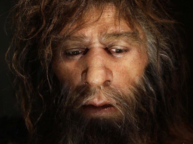 Các nhà nghiên cứu đã giải mã nhóm máu của người cổ Neanderthal và Denisovan - Ảnh 3.
