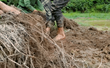 Đi rừng thấy đám cỏ ngập nước, nhóm thợ rừng lật cỏ lên và phát hiện điều bất ngờ