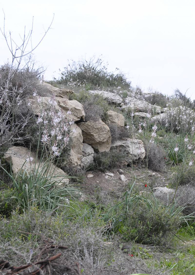 Israel giới thiệu vật liệu ngụy trang mới: giúp người lính hóa đá và trở nên vô hình trước các loại camera ảnh nhiệt - Ảnh 5.