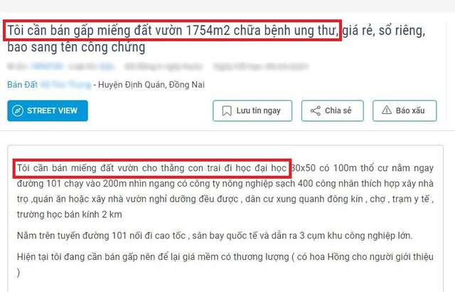 Vợ ngoại tình, lỡ làm bạn gái có bầu... mánh rao bán nhà đất bá đạo - Ảnh 2.