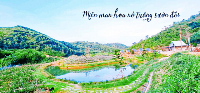  Mơ về ngôi nhà trên thảo nguyên, người phụ nữ chi gần 20 tỷ mua hơn 2ha đất làm farmstay  - Ảnh 4.