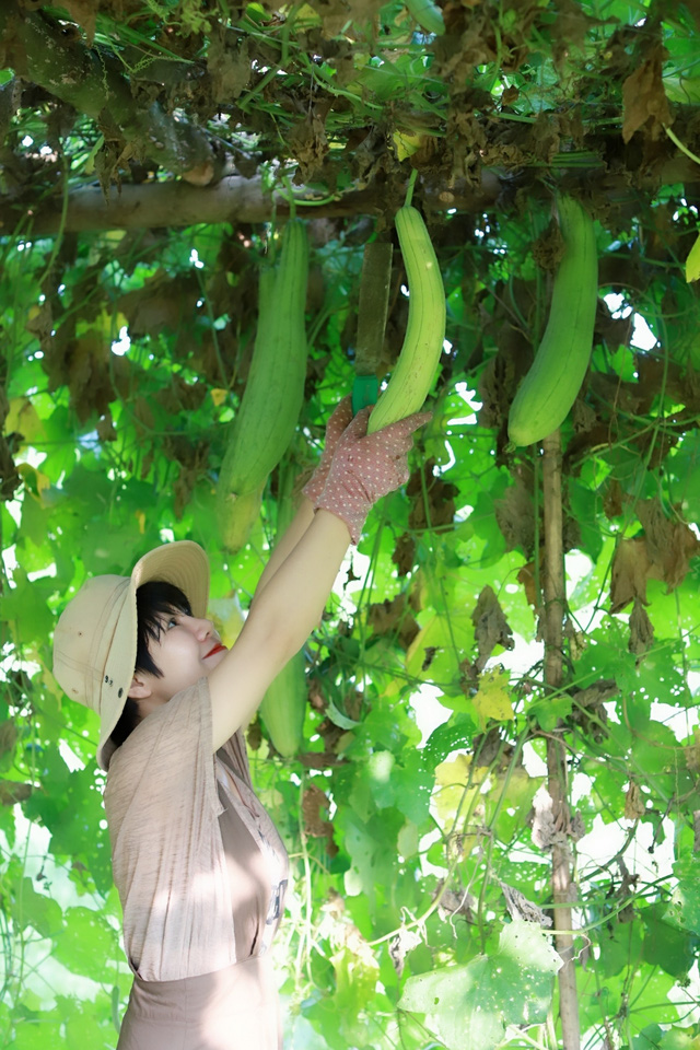  Mơ về ngôi nhà trên thảo nguyên, người phụ nữ chi gần 20 tỷ mua hơn 2ha đất làm farmstay  - Ảnh 8.