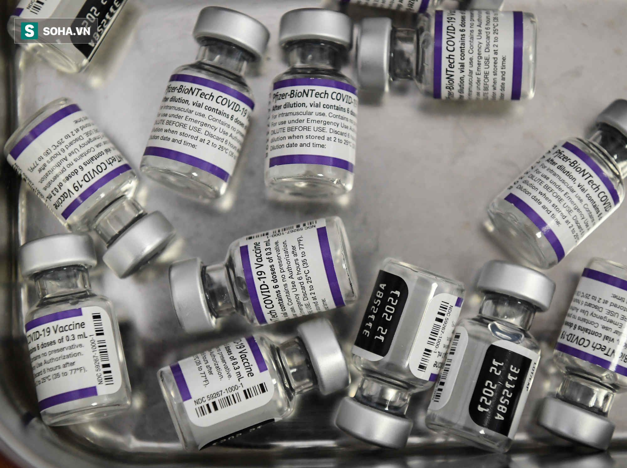 Bệnh viện Thanh Nhàn tiêm vắc xin Pfizer cho hơn 1000 phụ nữ mang thai - Ảnh 6.