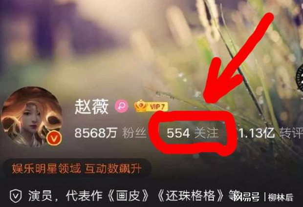 Phát hiện điểm bất thường trên Weibo của Triệu Vy, thái độ của Én Nhỏ sau bê bối thay đổi lớn - Ảnh 1.
