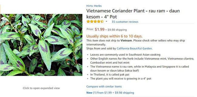 Chẳng ai ngờ: Mớ rau gia vị ở ở Việt Nam rẻ như cho, sang nước ngoài giá 250.000 đồng - Ảnh 6.