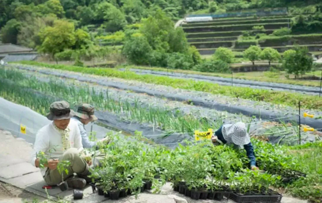 Bỏ việc về quê, nuôi cá và trồng thêm rau: Cuộc sống thảnh thơi, như mơ của đôi vợ chồng khiến nhiều người phát cuồng - Ảnh 22.