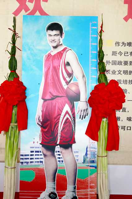 Người hâm mộ đã tận dụng Yao Ming làm thang đo so sánh như thế nào? - Ảnh 6.