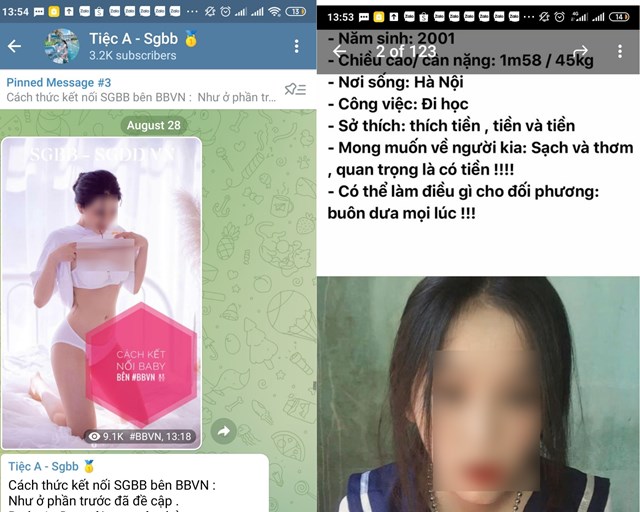 Tràn lan hoạt động Sugar Daddy núp bóng hội nhóm trên Telegram - Ảnh 3.