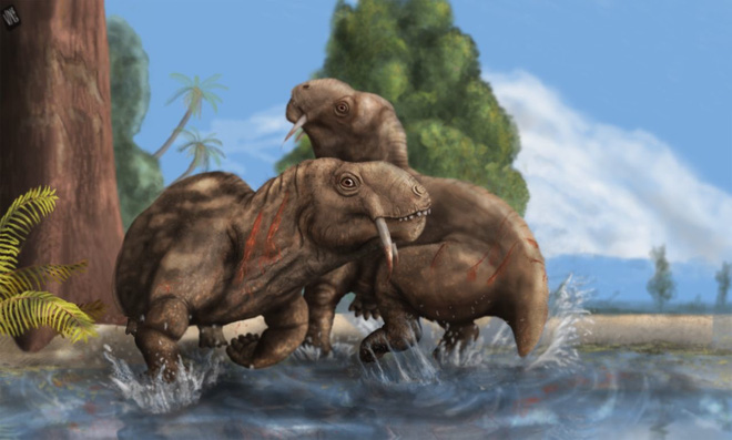 Nghiên cứu hóa thạch cho thấy không phải tất cả động vật có răng kiếm đều là động vật săn mồi - Ảnh 7.